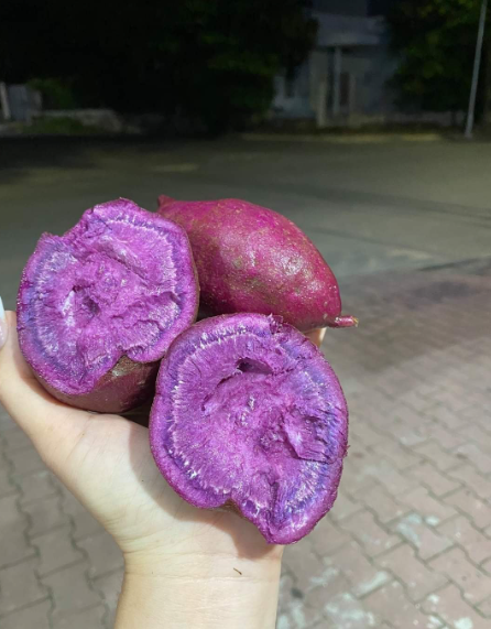 Ube vs autres superfoods : comment l’igname violet se distingue naturellement