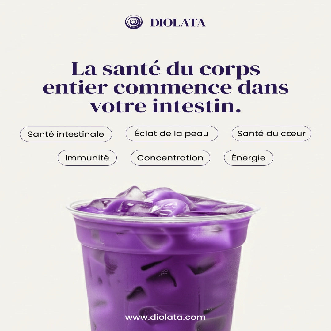 Poudre ube certifié bio - EU & USA