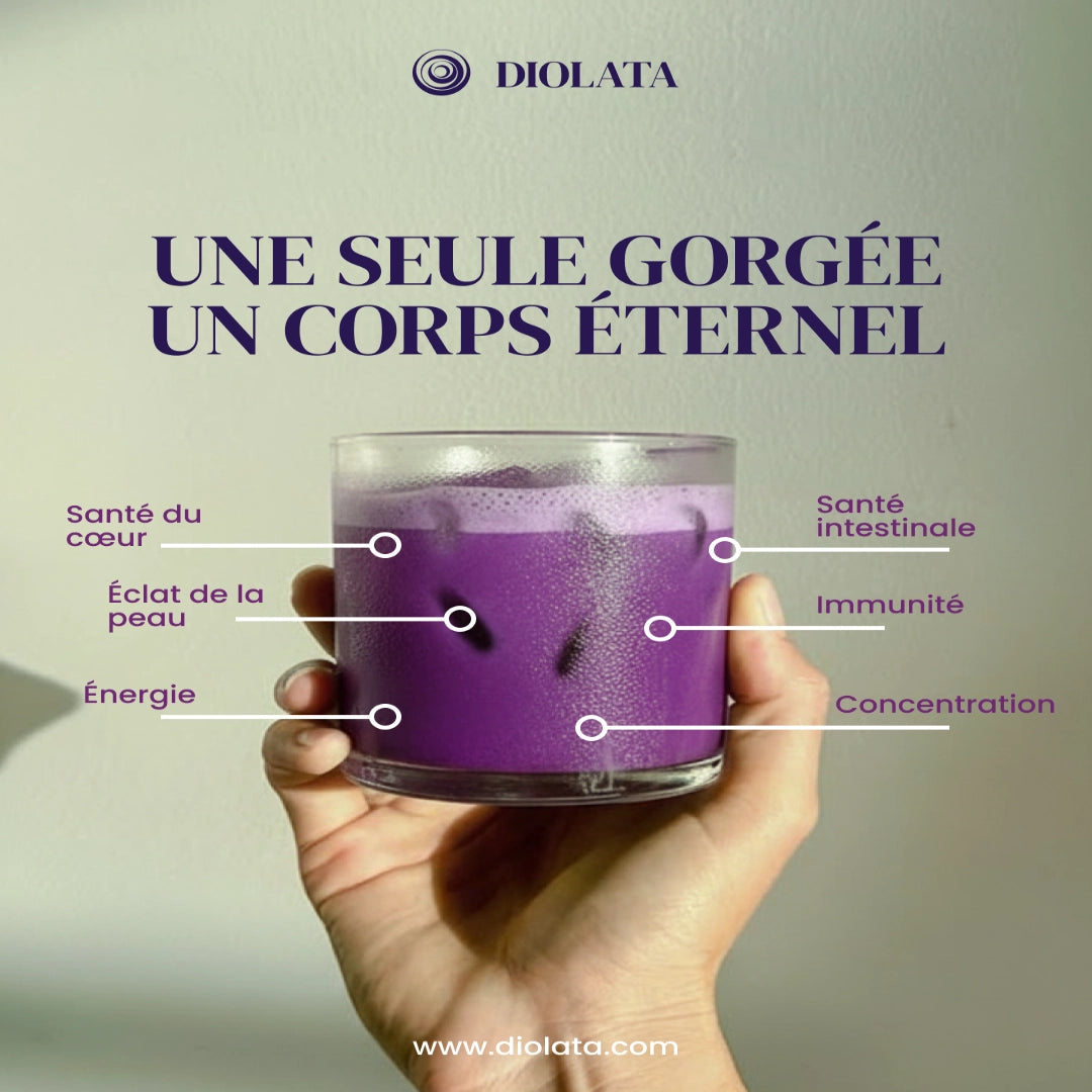 Poudre ube certifié bio - EU & USA