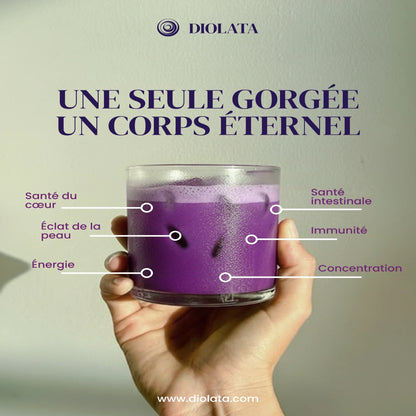 Poudre ube certifié bio - EU & USA